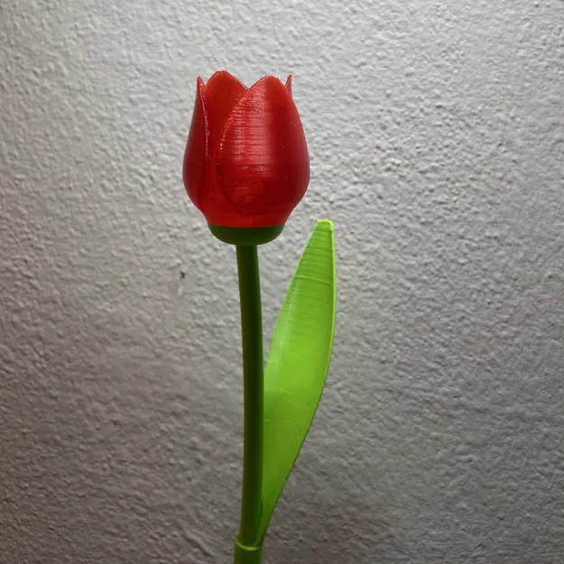 Hoa Tulip Xinh Đẹp Có Cuống - Quà Valentine Tuyệt Vời - Image 3