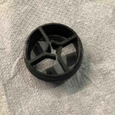 Đế Cắm Cho San Hô Con