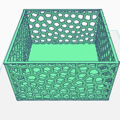 Hộp với hoa văn voronoi