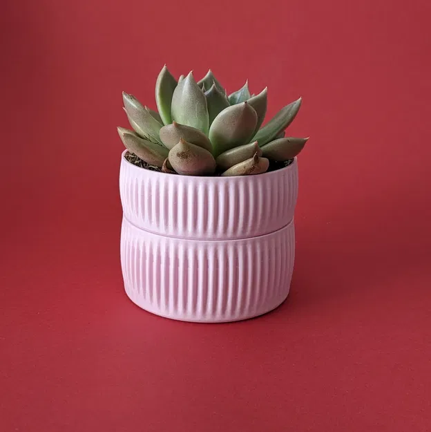 Chậu Tự Tưới Tiết Kiệm Nước - Image 1