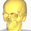 Mô hình CT Scan Hộp Sọ Người - Thumbnail 1