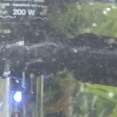 Bộ Chuyển Đổi Loc-Line 1/2in Cho Lọc Canister Marineland