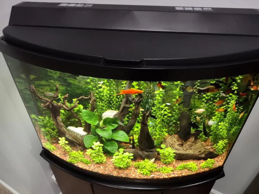 Nắp Che Lỗ Hở Hồ Cá Bowfront - Image 4