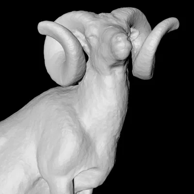 Dê Núi Rocky Mountain