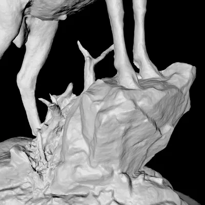 Dê Núi Rocky Mountain