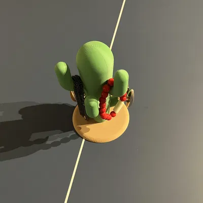 Xương Rồng Đựng Trang Sức Bằng Nam Châm