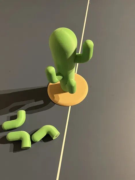 Xương Rồng Đựng Trang Sức Bằng Nam Châm - Image 5