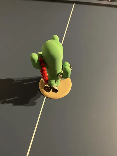 Xương Rồng Đựng Trang Sức Bằng Nam Châm - Image 7