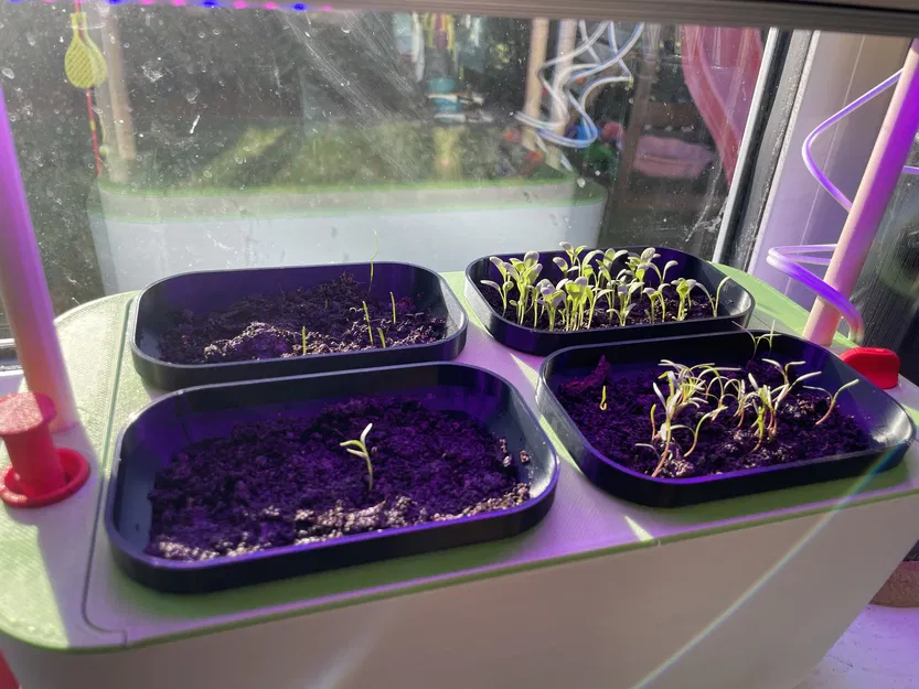 Vườn Thông Minh Jo’s (Thủy Canh) - Image 10