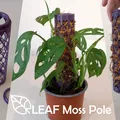 Cọc Rêu Dạng Lá LEAF Moss Pole - Thumbnail 1