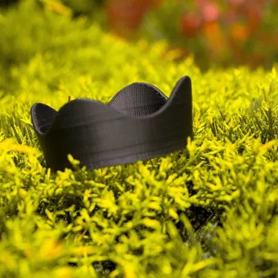 Chụp Nắng Ống Kính Canon 50mm