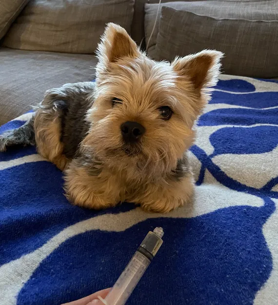 Giá Đỡ/Kệ Phơi Xi-lanh - Image 8