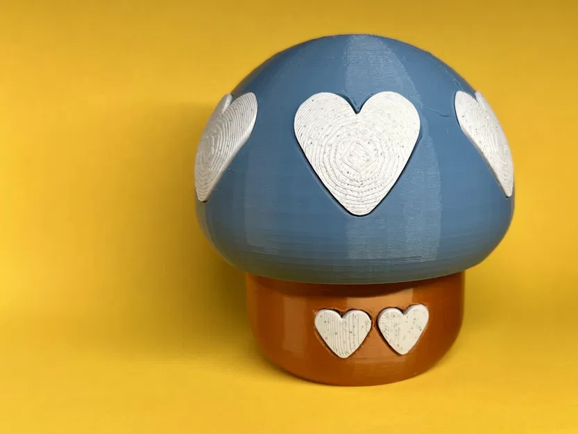 Nấm Xoắn Đơn Mở Kèm Trái Tim - Image 1