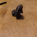Ai là cún cưng ngoan ngoãn. - Thumbnail 4