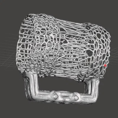 Giá đỡ lon kiểu Voronoi