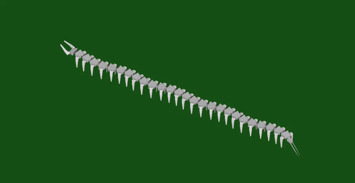 Mô Hình Con Rết - Image 3