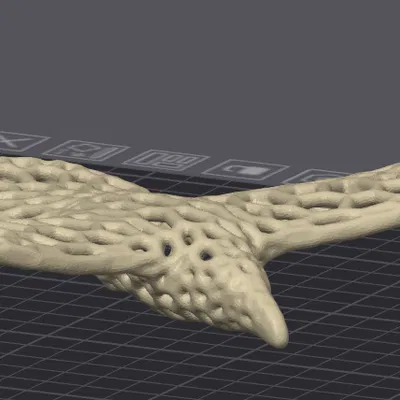 Mô Hình Quạ Bay Voroni