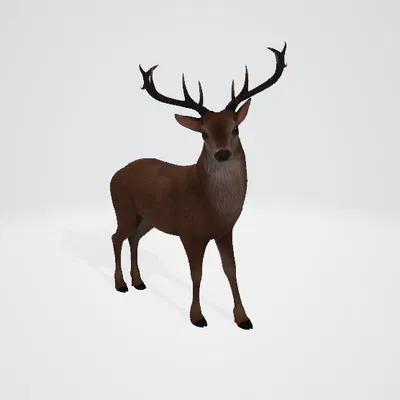 Tượng Tuần Lộc 3D