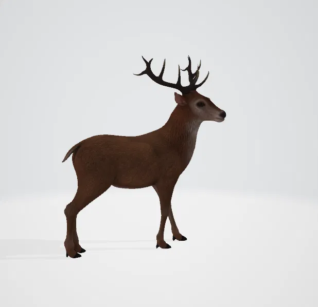 Tượng Tuần Lộc 3D - Image 3