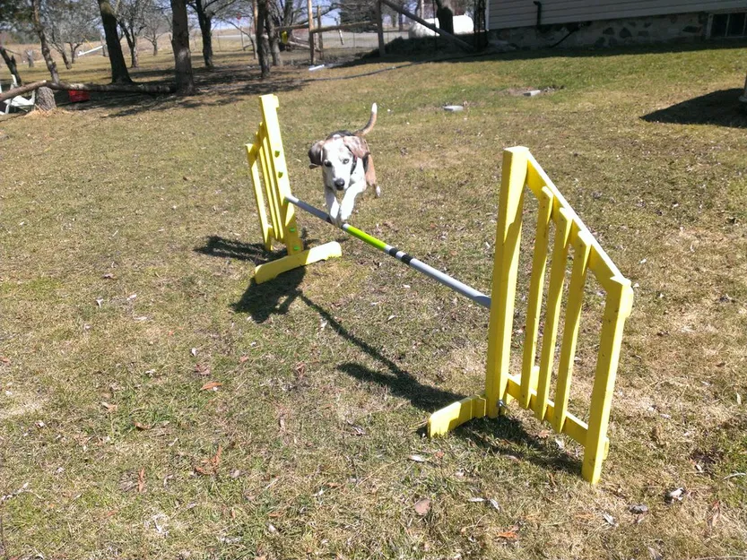 Cúp Nhảy Agility (Tham số) - Image 1
