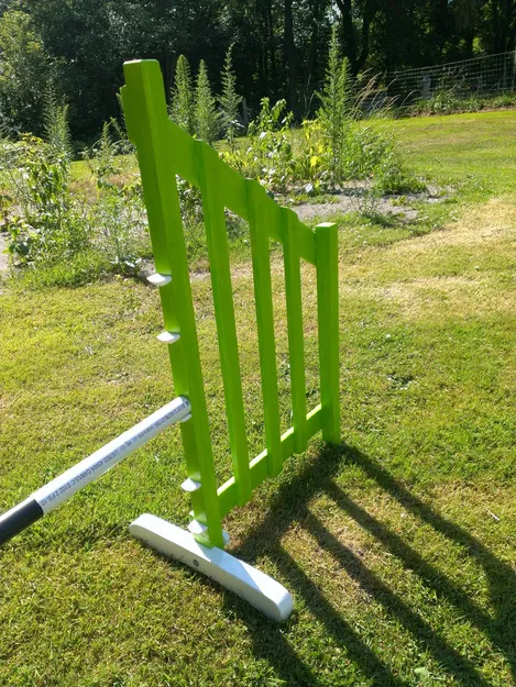 Cúp Nhảy Agility (Tham số) - Image 7