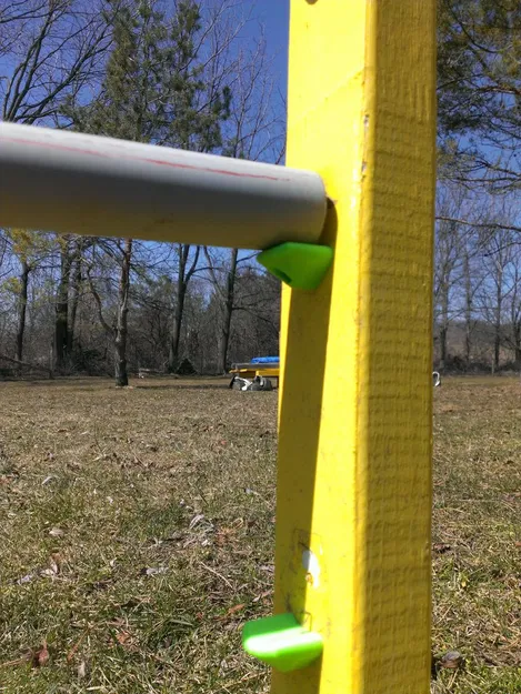 Cúp Nhảy Agility (Tham số) - Image 8