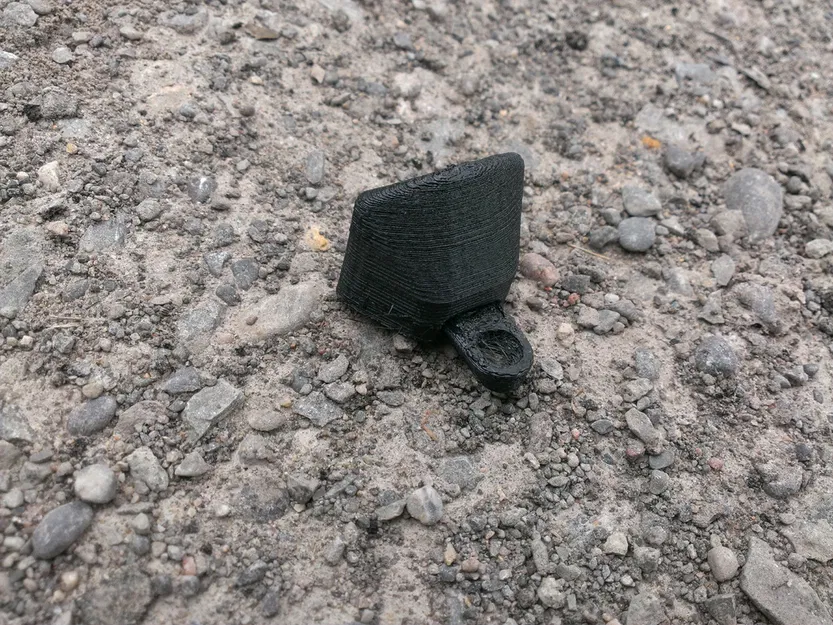 Cúp Nhảy Agility (Tham số) - Image 11