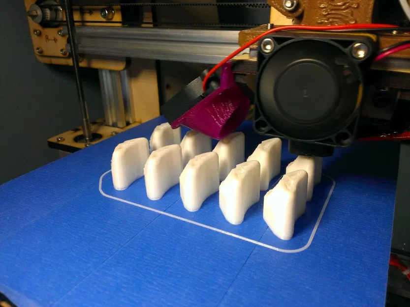 Cúp Nhảy Agility (Tham số) - Image 13