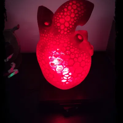 Đèn Ngủ LED Hình Trái Tim Giải Phẫu Họa Tiết Voronoi