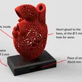 Đèn Ngủ LED Hình Trái Tim Giải Phẫu Họa Tiết Voronoi - Thumbnail 2