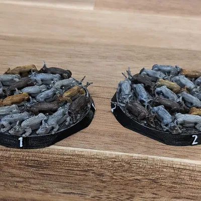 Đàn Chuột (Đỉnh Bằng Phẳng)