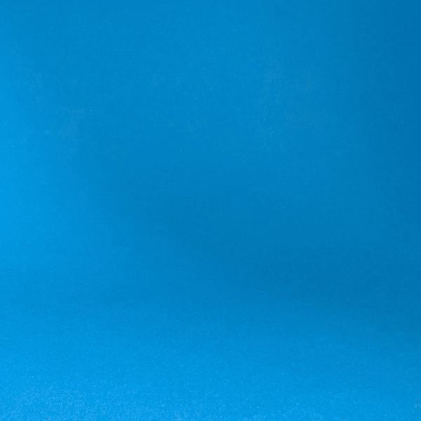 GAME MEME PEDRO EL MAPACHE