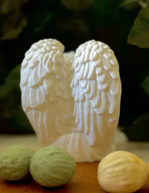 Thiên Thần Nằm Nghỉ - Image 4