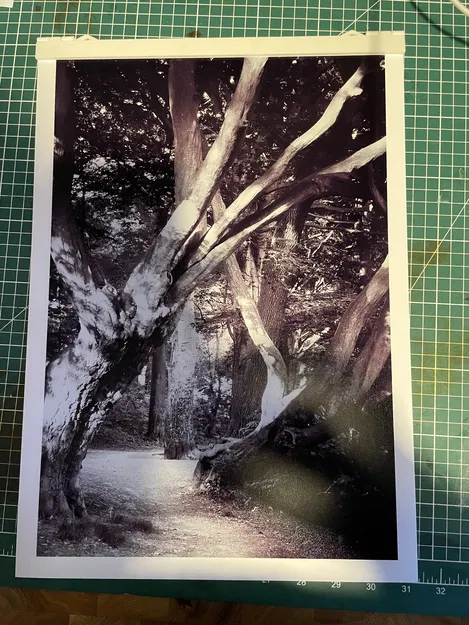 Khung treo ảnh / Khung treo tranh nam châm, 20, 30 và 42 cm - Image 3