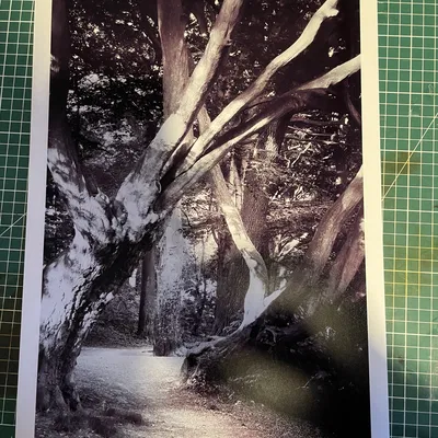 Khung treo ảnh / Khung treo tranh nam châm, 20, 30 và 42 cm