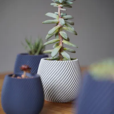 Chậu cây xoắn ốc hiện đại