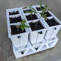 Vỏ ươm mầm cây con - Thumbnail 1