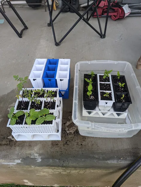 Vỏ ươm mầm cây con - Image 4