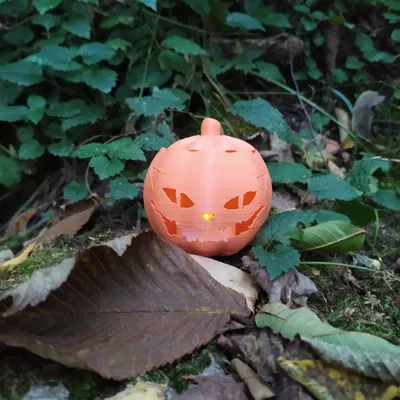 Mẫu Jack-O-Lantern Mặt Mèo Độc Đáo