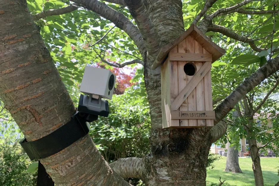 Kẹp Đa Năng "Plasticlamp": Giá Đỡ Điện Thoại, Tùy Chọn Vòng Nam Châm, Gắn Máy Ảnh & Đèn Pin - Image 14