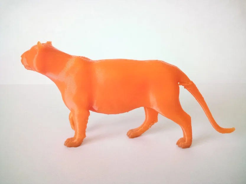 Mô Hình Hổ/Mèo Hoang Dã 3D - Image 2