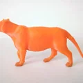 Mô Hình Hổ/Mèo Hoang Dã 3D - Thumbnail 2