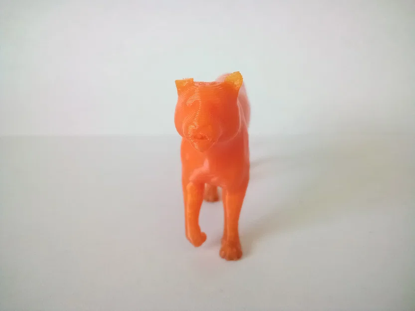 Mô Hình Hổ/Mèo Hoang Dã 3D - Image 3