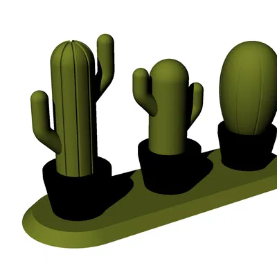 CHẬU XƯƠNG RỒNG & ĐẾ CẮM