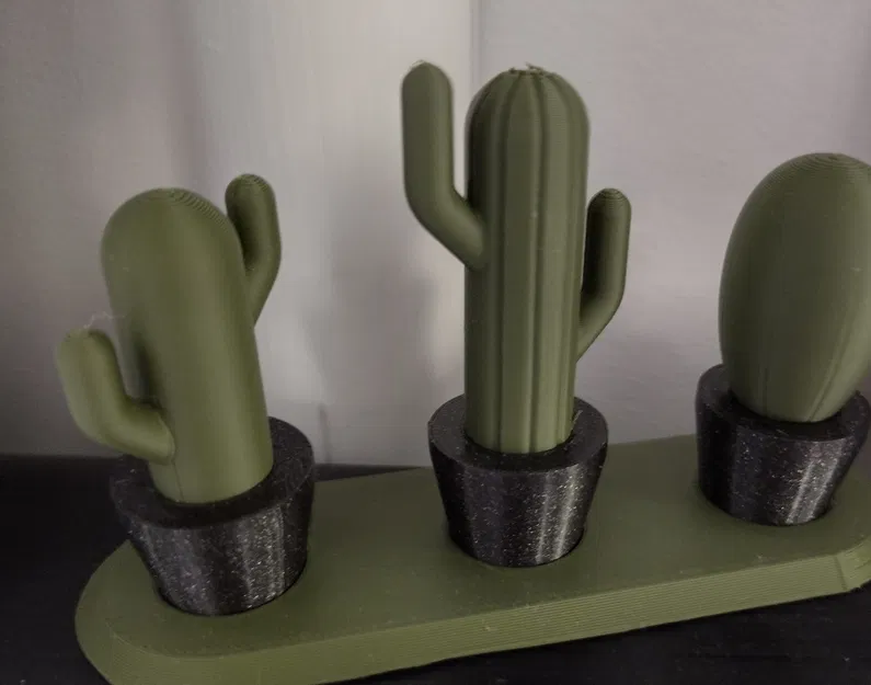 CHẬU XƯƠNG RỒNG & ĐẾ CẮM - Image 2