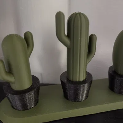 CHẬU XƯƠNG RỒNG & ĐẾ CẮM