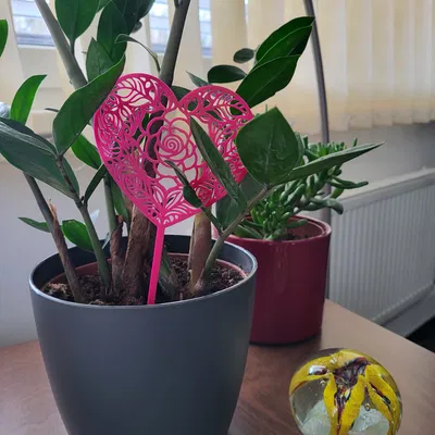 Trái tim trang trí hoa và con vật