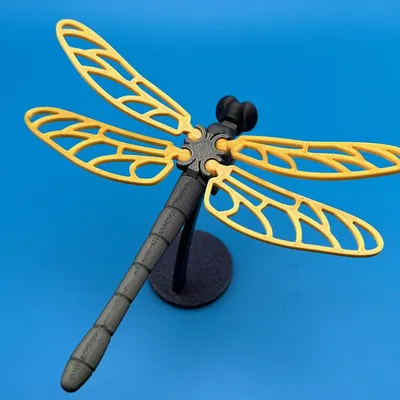 Chuồn Chuồn Voronoi