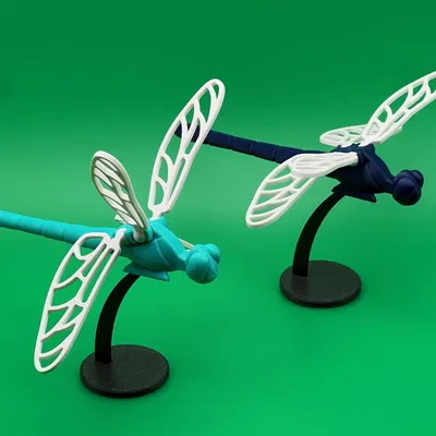 Chuồn Chuồn Voronoi