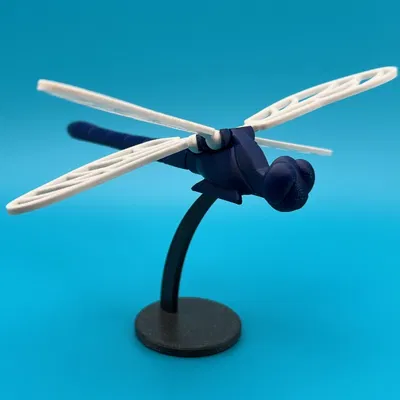 Chuồn Chuồn Voronoi